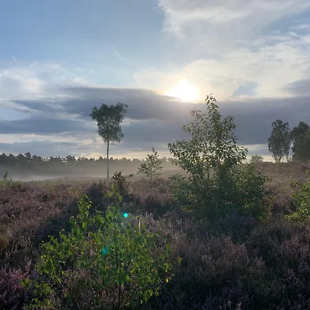 Fantastisch Luxe Boshuis I Onthaasten In De Сasa de vacaciones