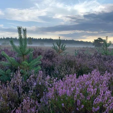 Дом отдыха Fantastisch Luxe Boshuis I Onthaasten In De *