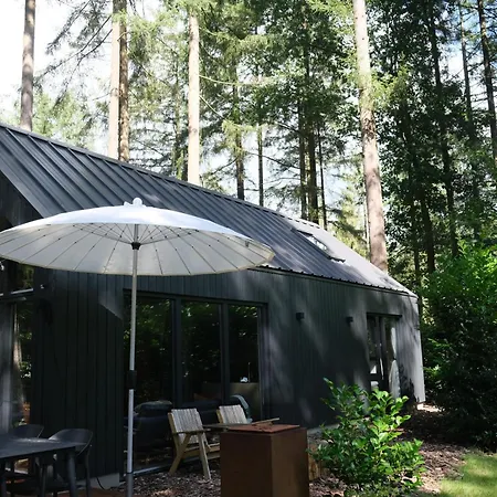 Fantastisch Luxe Boshuis I Onthaasten In De *