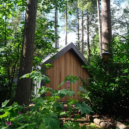 Fantastisch Luxe Boshuis I Onthaasten In De