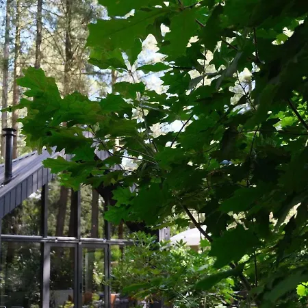 Ferienhaus Fantastisch Luxe Boshuis I Onthaasten In De