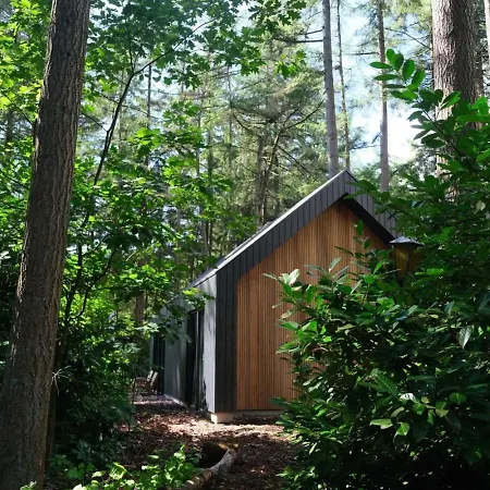 Fantastisch Luxe Boshuis I Onthaasten In De *