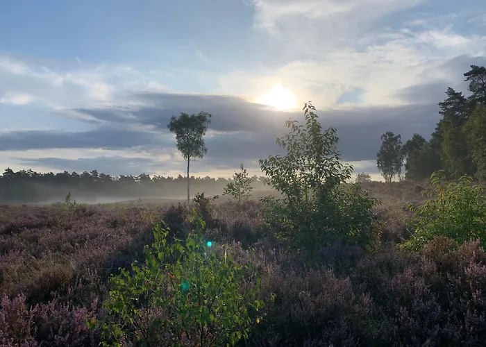 Fantastisch Luxe Boshuis I Onthaasten In De Hébergement de vacances