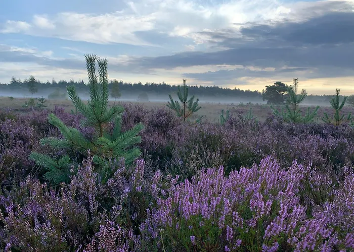 Nyaraló Fantastisch Luxe Boshuis I Onthaasten In De *