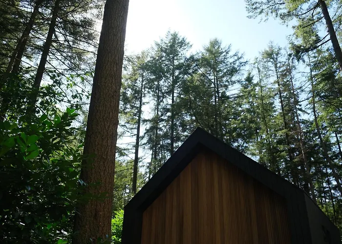 Fantastisch Luxe Boshuis I Onthaasten In De * Emst