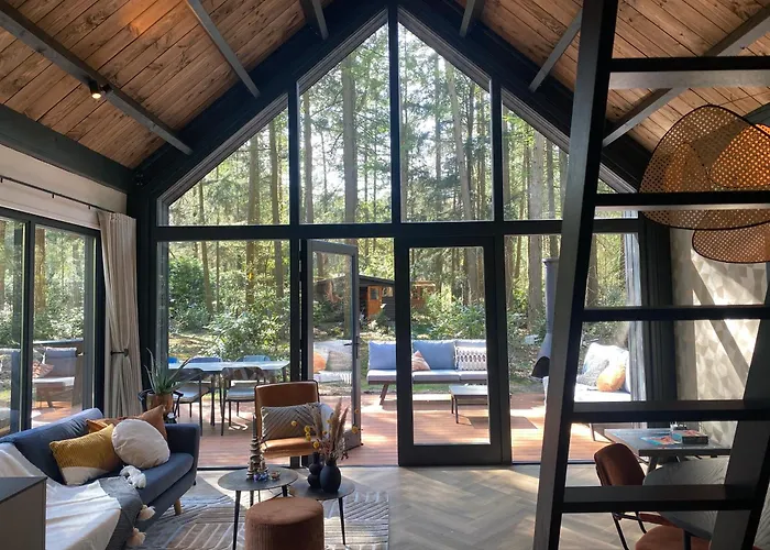 Fantastisch Luxe Boshuis I Onthaasten In De