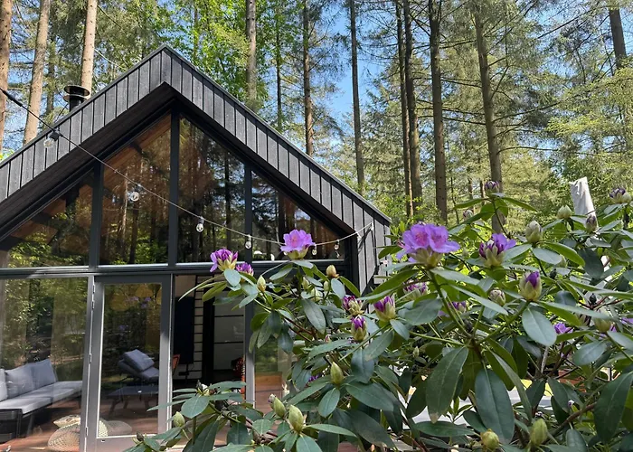 Fantastisch Luxe Boshuis I Onthaasten In De * Emst