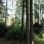 בית נופש Fantastisch Luxe Boshuis I Onthaasten In De *