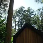 Fantastisch Luxe Boshuis I Onthaasten In De * אמסט
