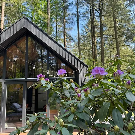 Fantastisch Luxe Boshuis I Onthaasten In De * Emst