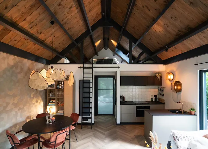 Ferienhaus Fantastisch Luxe Boshuis I Onthaasten In De Emst