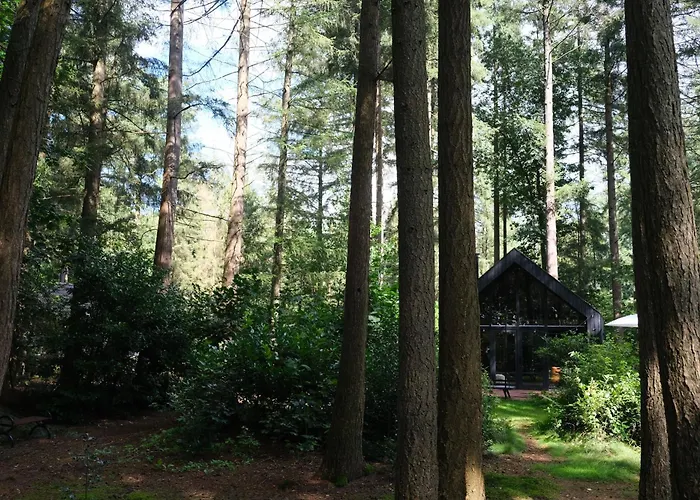 Ferienhaus Fantastisch Luxe Boshuis I Onthaasten In De *
