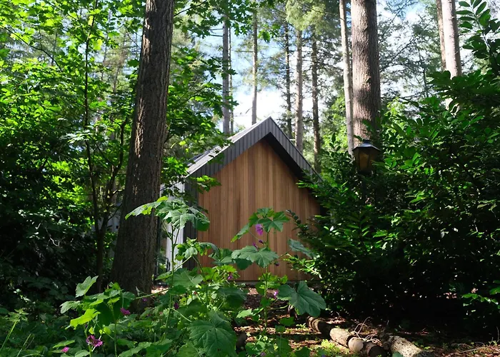 Fantastisch Luxe Boshuis I Onthaasten In De